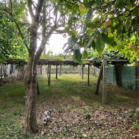 Casa Rural A Telleira A Estrada Extérieur photo